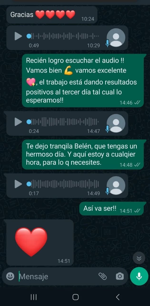 Imagen 2